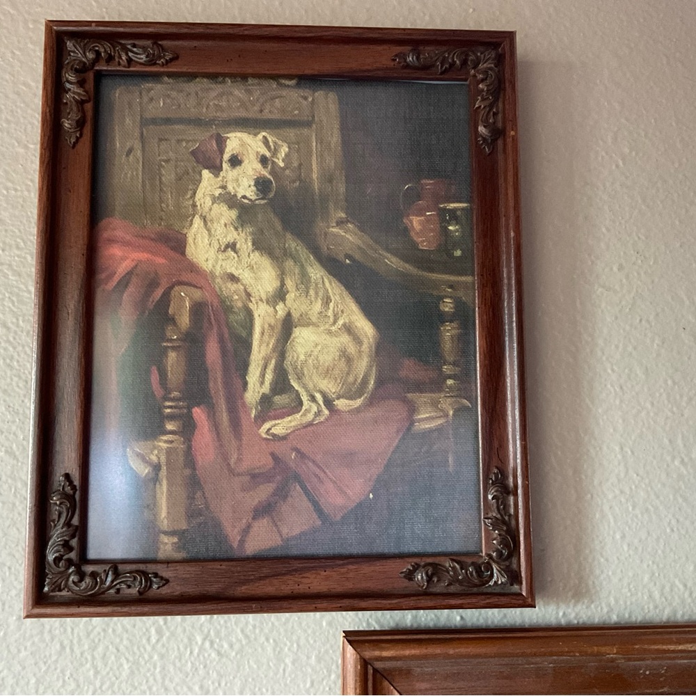 Portrait of a Dog